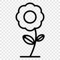 garden, decoration, bouquet, blossom icon svg