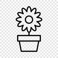 garden, blooms, garden flowers, plants icon svg