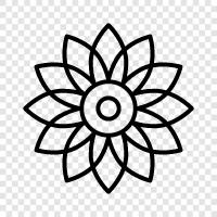 Garden, Gardening, Bloom, Bloomers icon svg