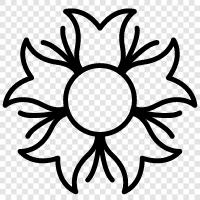 garden, blossom, bloom, petal icon svg