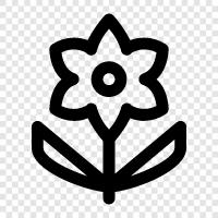 garden, nature, beautiful, blooming icon svg