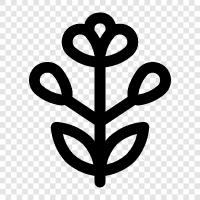 garden, plant, garden plants, gardening icon svg