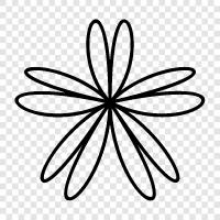 Garden, Bloom, Bloomers, Flowers icon svg