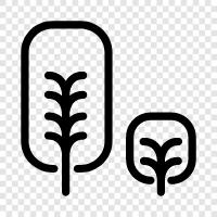 garden, trees for sale, trees for a backyard, trees in a garden icon svg