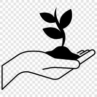garden hand, nursery hand, horticultural hand, florist hand icon svg