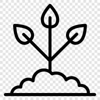 Garten, Ernte, Samen, Kraut symbol