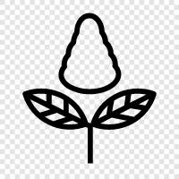 garden, leaves, bark, flowers icon svg