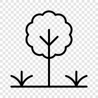 Garten, Baum, Laub, Blatt symbol