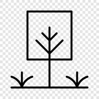 Garten, Hecke, Pflanzen, Dekoration symbol