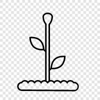 gardener, flower, weed, herb icon svg