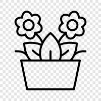gardening, flowers, weeds, gardening tips icon svg