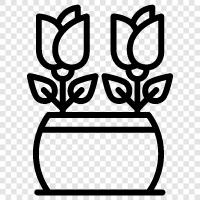 bahçecilik, çiçek düzenleme, bahçe tasarımı, succulents ikon svg