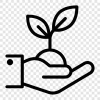 gardening, flowers, vegetables, fruits icon svg