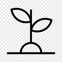 gardening, seeds, vegetables, sprout icon svg