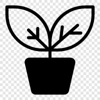 gardening, landscaping, plant lover, botany icon svg