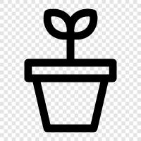 gardening, vegetables, flowers, green icon svg