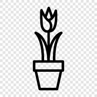 Gardening, Container, Planter, Flower Pot icon svg