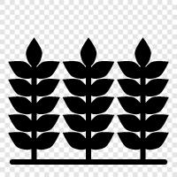 gardening, landscaping, herbs, vegetables icon svg