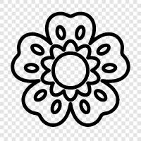 Gardening, Flowers, Blooming, Bloom icon svg