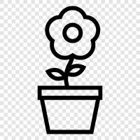 Gardening, Container, Planter, Flower Pot icon svg