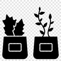 gardening, plants for sale, nurseries, plants for indoor use icon svg