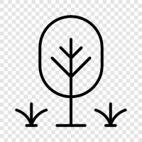 Gartenarbeit, Grün, Laub, Blume symbol