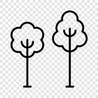 gardening, plants, flowers, gardens icon svg