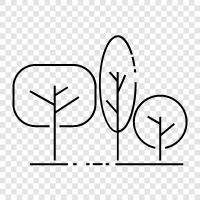 gardening, plants, flowers, landscaping icon svg