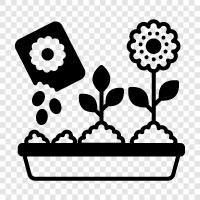 gardening, gardening tips, organic gardening, seed starting icon svg
