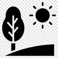 gardens, nature, recreation, walking icon svg