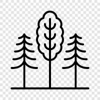 gardens, nature, hiking, biking icon svg