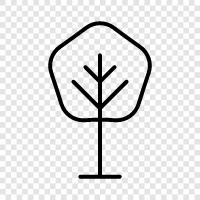 gardens, plants, foliage, trees icon svg