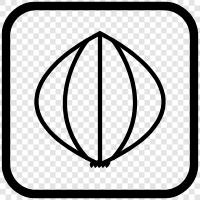 garlic icon svg