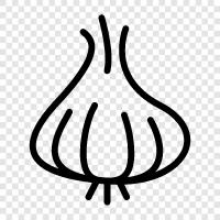 garlic icon svg