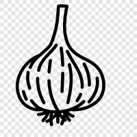 garlic icon svg