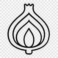 garlic, onion skin, onion bulb, onion seed icon svg