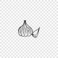 garlic, garlic Health benefits icon svg