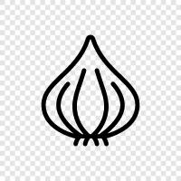 garlic icon svg