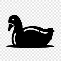 geese, waterfowl, poultry, fowl icon svg