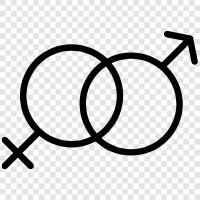 Geschlecht, sexuelle Orientierung, Transgender symbol