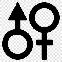 gender symbols, gender identity, gender expression, transgender icon svg