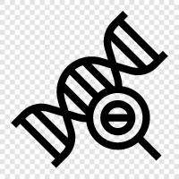 gene analysis, gene expression, gene sequencing, gene mapping icon svg