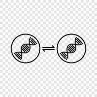 gene editing, gene therapy, CRISPR, genome editing icon svg