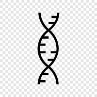 gene, DNA sequencing, genetic testing, mutation icon svg