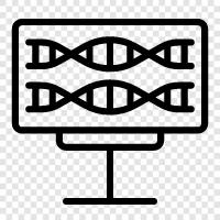 gene, genetic, chromosomes, DNA strand icon svg