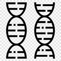 gene, chromosome, genetic, mutation icon svg