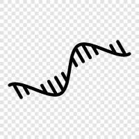 gene, genetic, genetic code, nucleic acid icon svg