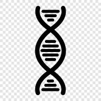 gene, mutation, chromosome, genetic icon svg