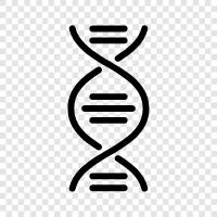 gene, chromosome, genetic, DNA testing icon svg