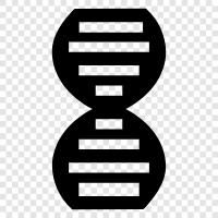 gene, chromosomes, genetic, hereditary icon svg